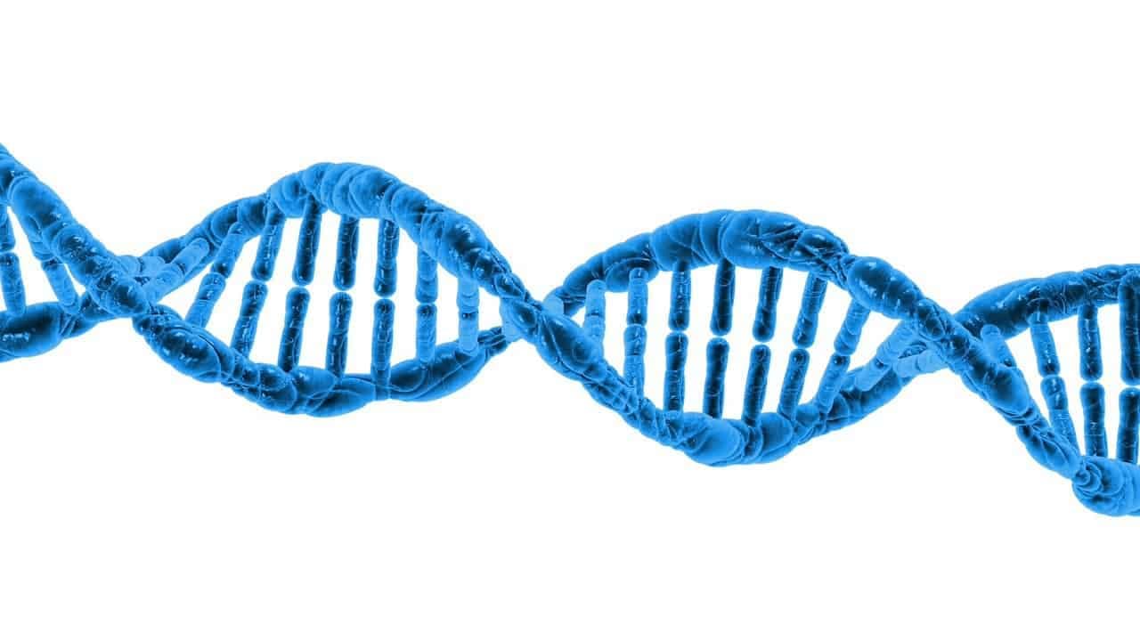 Jak vybrat DNA test původu - informace