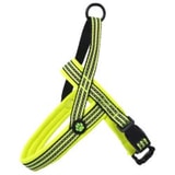 Active Dog Neoprene