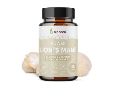 Blendea Power Lion’s Mane