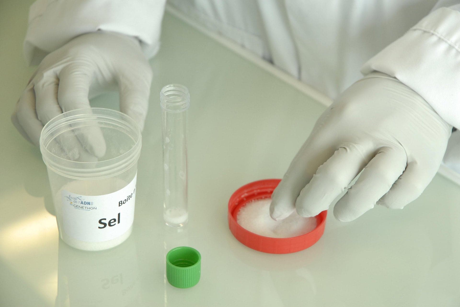 Jak vybrat DNA test původu