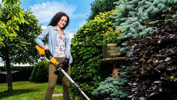 Podrobné hodnocení aku křovinořezu Riwall 3040