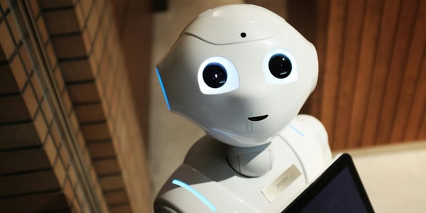 Humanoidní robot