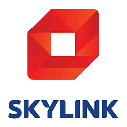 Skylink: Product review