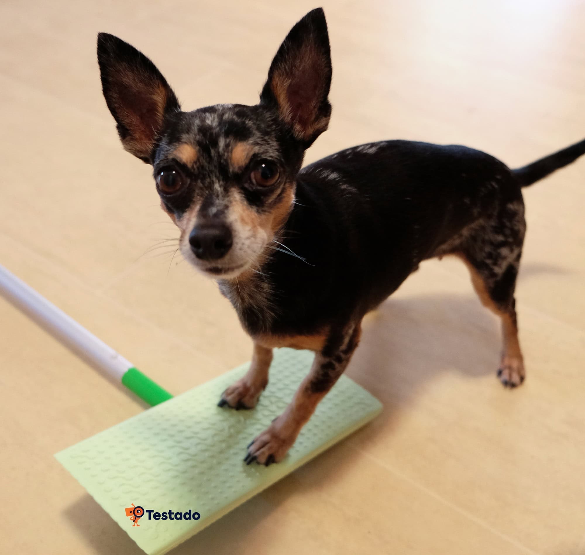 Swiffer mop úklid s mopem